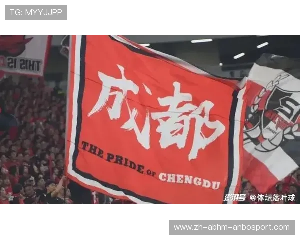 德甲球队是否挂有台湾旗帜的情况介绍