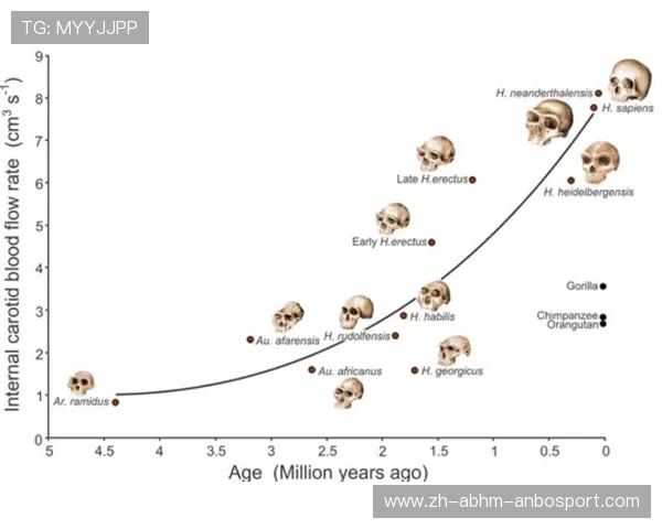 足球运动古籍中是否记录了早期战术理念与规则演化轨迹