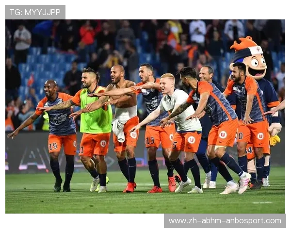 蒙彼利埃球队在法甲联赛的历史排名与表现 蒙彼利埃球队在法甲联赛的历史排名与表现